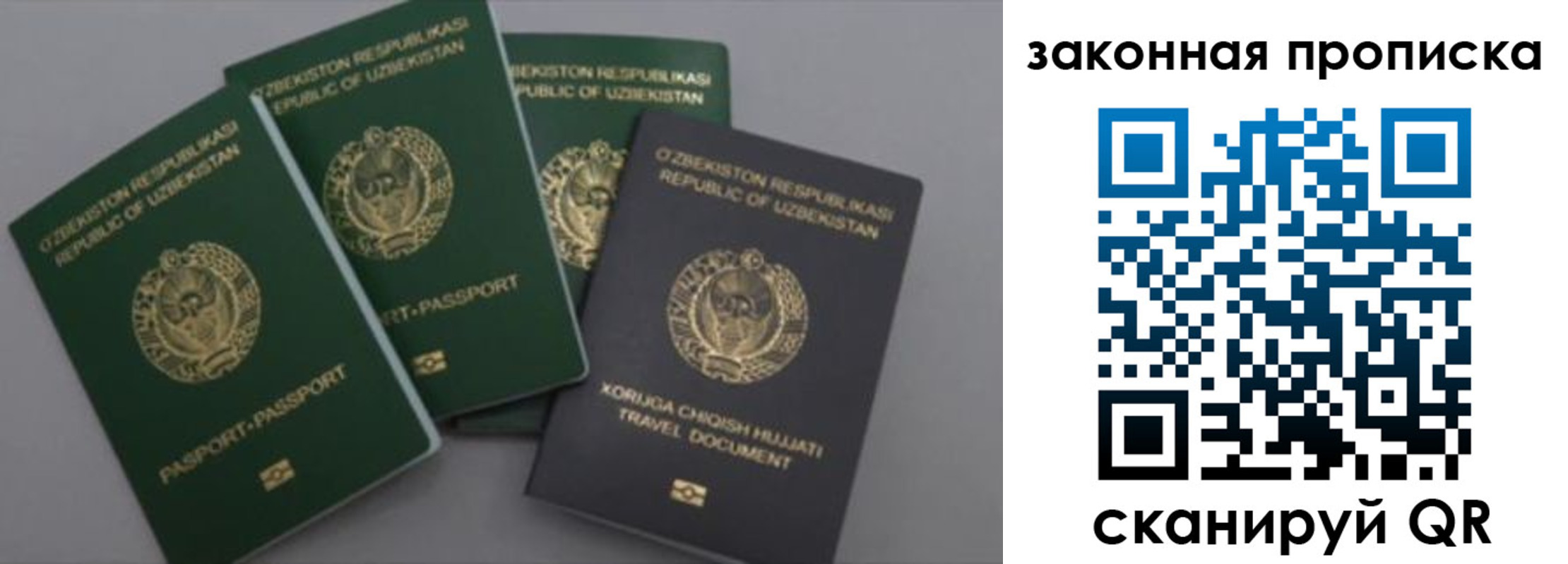 прописка законно в Павлово